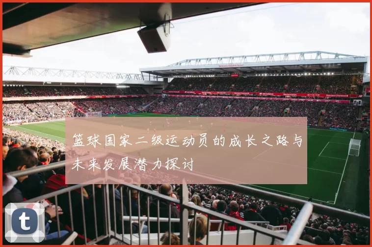 篮球国家二级运动员的成长之路与未来发展潜力探讨