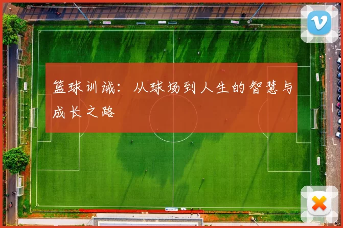 篮球训诫：从球场到人生的智慧与成长之路